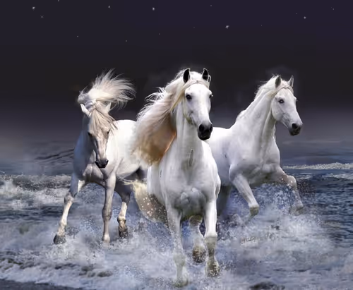 Untitled Collection #62187141