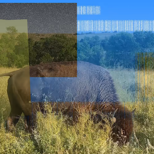 105089968166921690156624725616502706642431777719922472152070405727160337694721