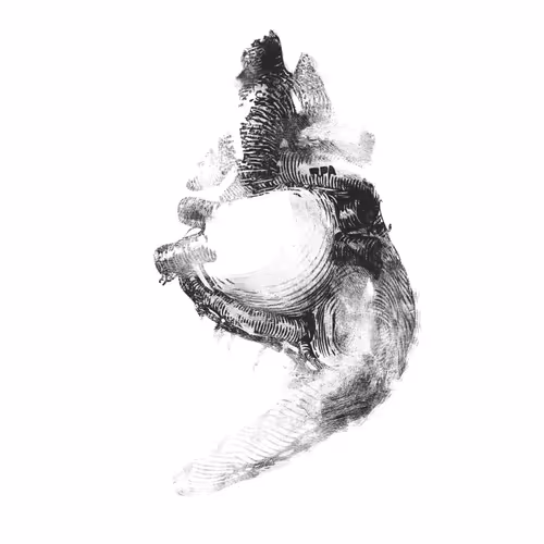 Item #22287813483371826071235731740106680874196660176262683968110774409362373869569 Media