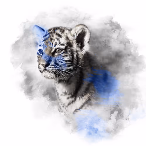 The Animal Kingdom Collection