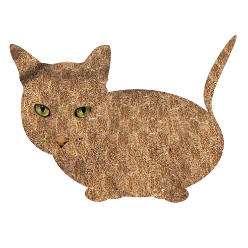 Item #7075100801842414929541159204983769780243264764604993181312715069713754882049 Media