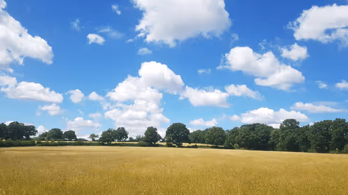 Untitled Collection #49493930