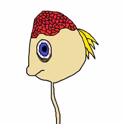 55821112555373048994313304729541094956543670019884432065562933909291425333249