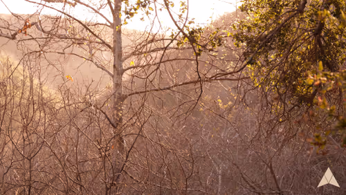 Item #70655409647296023505339344133926088984781406258874857677002406236708940021761 Media