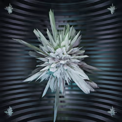 70655409647296023505339344133926088984781406258874857677002406263097219088385