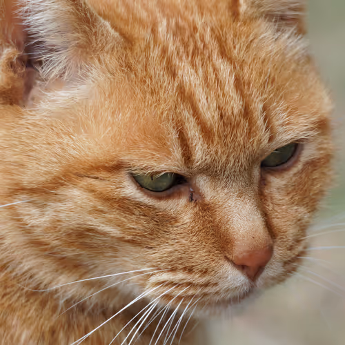 MatsuShunL_MM Collection