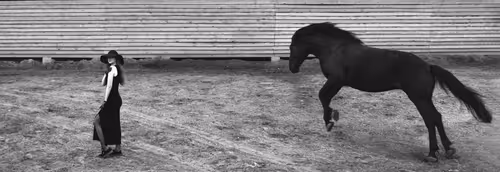 Item #74661804639461098708131462223609063755981185112722833040679211584584712978433 Media