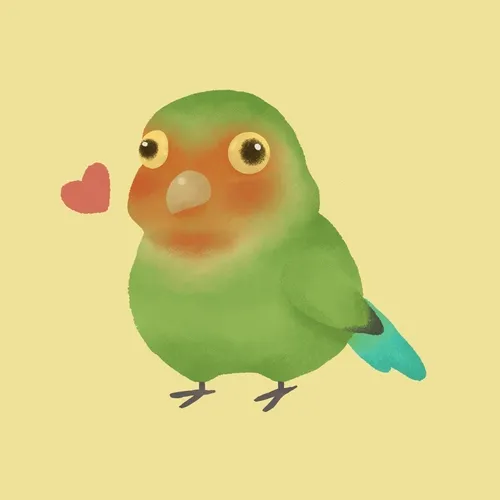 Chubby Birds