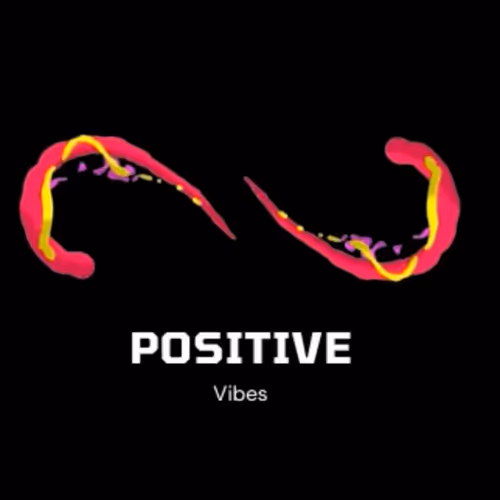 Positive Vibes