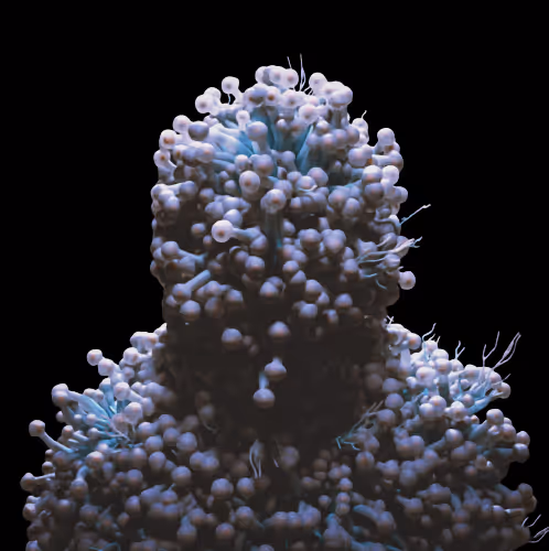 97107590523923761146299885224419256175613868444109951227489717499171755261953