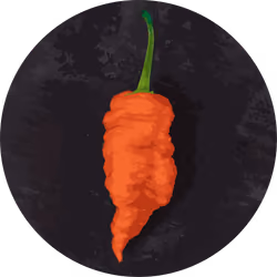 Ghost Pepper illustration art