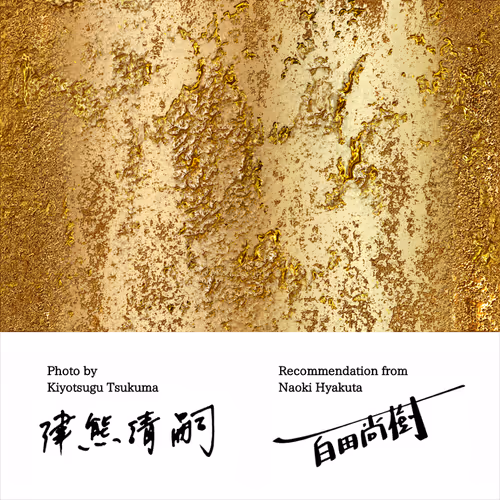 Item #50363599063163147153613145821536573388188757472313701897706766300066827206657 Media