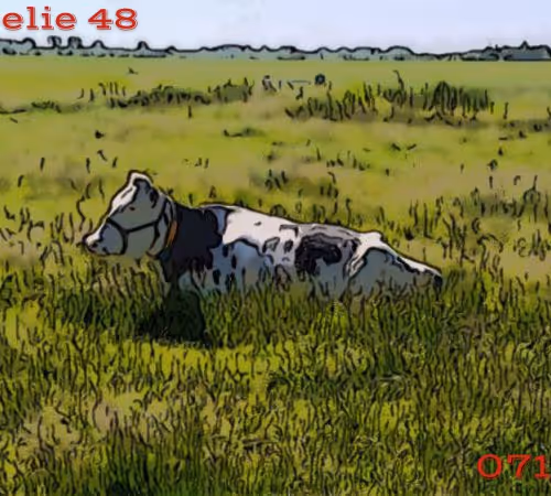 106168068867162485094593885732241547229015412580842941571810197542845831708673