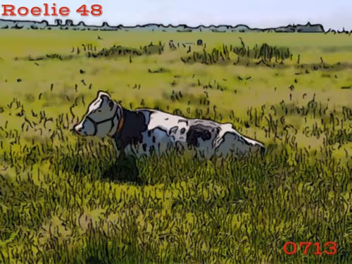 Item #106168068867162485094593885732241547229015412580842941571810197542845831708673 Media