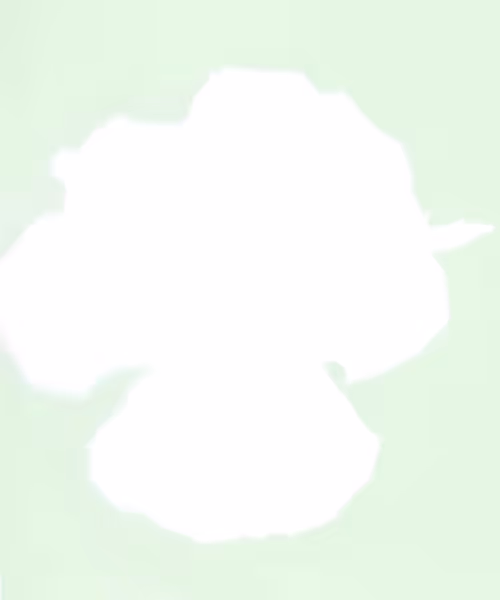 Item #66412083877775050052255921183624814536266007620308041883263231596049358389249 Media