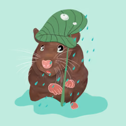 hammy #3