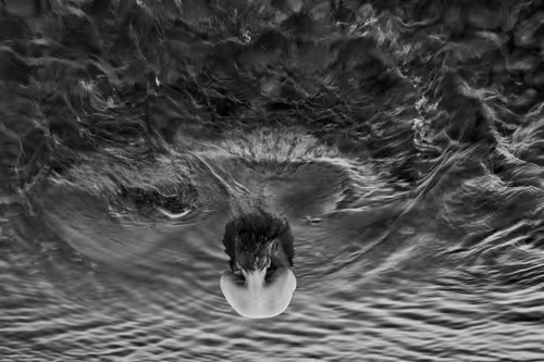 Item #81425468840217938130335513187731669853655760223415782332089084430546305548289 Media