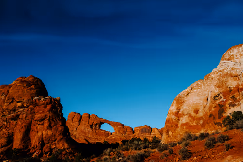 Item #114356424979646912091291396938675079969318378250921425408739931257226873798657 Media