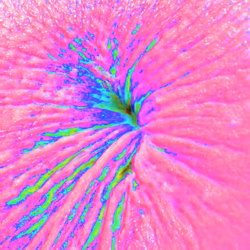 Item #38748192286267356930689689992324455160612969586483070519053316909435147255809 Media