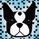 80658368129337691042389905778856592011954451497496062341822314074947721363457