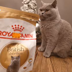 50378249515192140596651097190490243462828899571090436609561503709491238010881