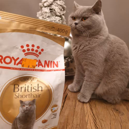 50378249515192140596651097190490243462828899571090436609561503709491238010881