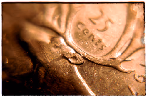 Item #69162624818893476726320652115504039379627805046684483177886999791556460806145 Media