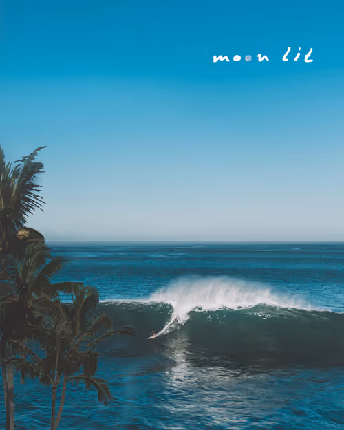 Item #78064220502355505726869985793984720926867023015257308531581829153804412518401 Media