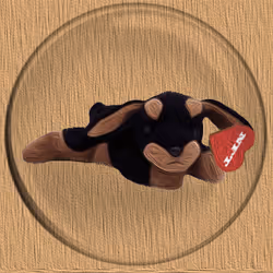 41776025324002017952572422073316458441069080831023694546850786550453431697409