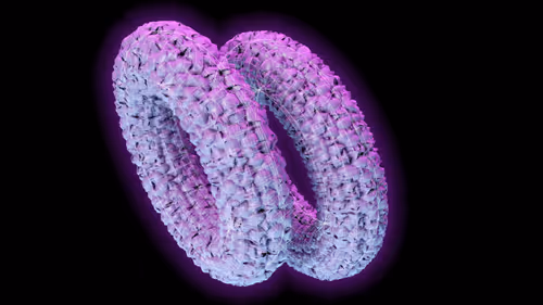 Item #49094267518849766728459320439263364163524723488724265765002212419095119265793 Media