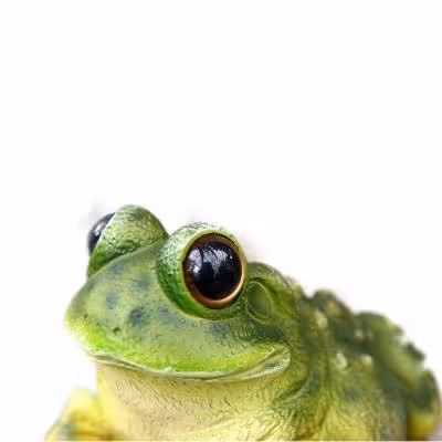 SuperiorConsignment Collection