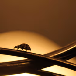 51124555051901614330264480006545612592022390906904121289505624496438027223041