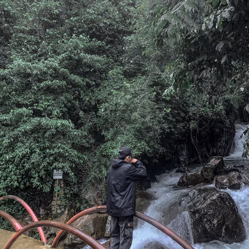 Untitled Collection #147608377