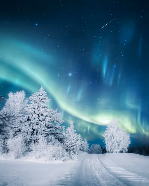 Item #134489906944514601836567189437532879130233761745768622289177267906270986241 Media