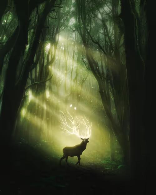 Item #7011756118865655671671030656332753071485214867850025017167807875755884412929 Media