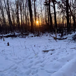 #111295259959984185440885883677001409963573978045165079609328994092460638470145