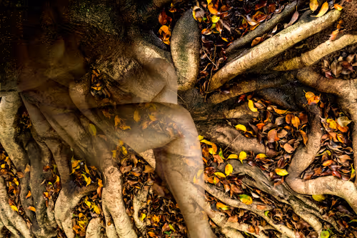 Item #105836017771423557183931558277920297823919466206112556630061826431270197919745 Media