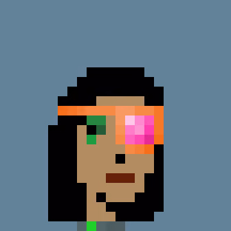 PIRACY PUNK #238