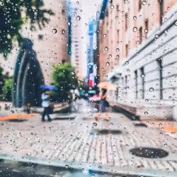 Rainy Days