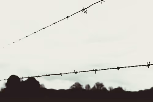 Item #41003151928393292369567597254607550815356584205978628665968184413308151922689 Media