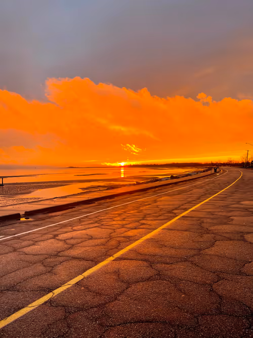 Item #44100607616184526410662414915687006809759328880516455582196249739235470344193 Media