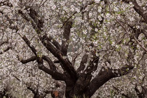 Item #105679162715773690367894814568251153202929894369313826483118648313881974276101 Media