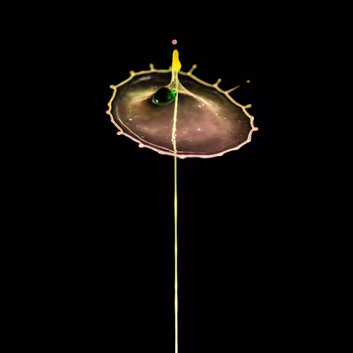 Item #93843816189578981246560604655943518308185846623120940061859981531013359599617 Media