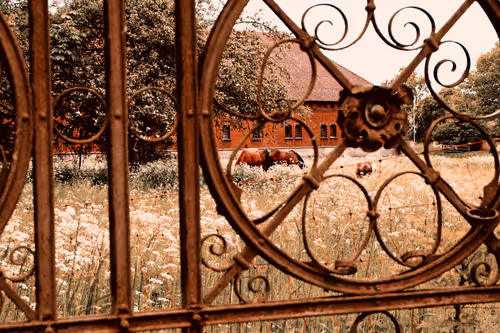 Item #94035650234493151169169307616889538055244007343231067987220881142788487380993 Media