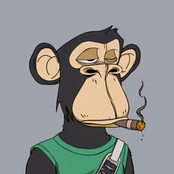 19673765717069545050496428251809558002236606170588446154753571887517710417921