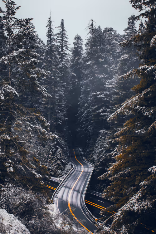 Item #28249669150142615207579555762608265536132247185199409993543532401391180972033 Media