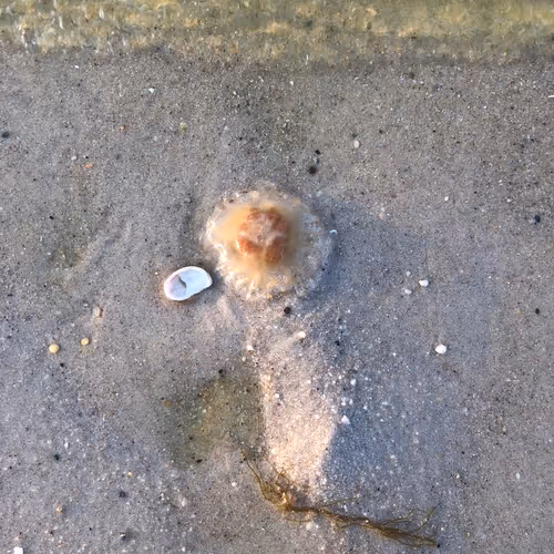 90554348501187123483596379168260119643540702018194998506702137001979162918913