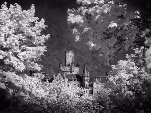 Item #40160686583094733528677484039903516258611509642019211679321071621097421537281 Media