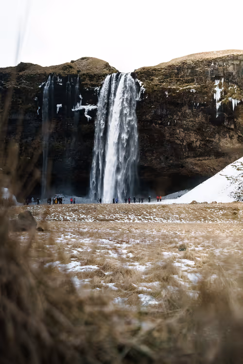 Item #94182127444337811062350356802645001228513611813568193112729855439504981098497 Media