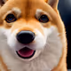 111777919528963143220040478423315994690724677359972579189748118487873206878209